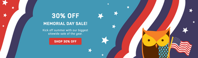 30% off Memorial Sale - Awake Owl with USA flag